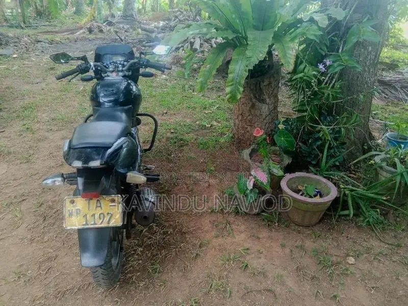 Bajaj Pulsar 180 2007
