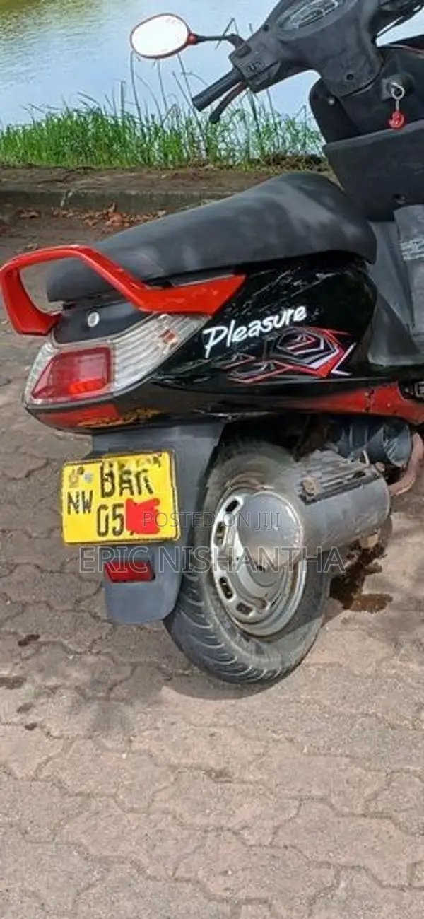 Hero Pleasure 2013