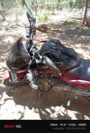 Bajaj Pulsar 150 2015