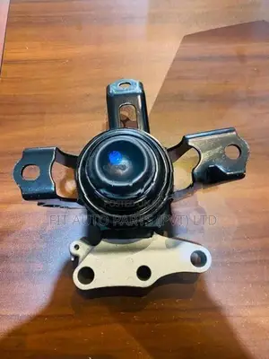 Wagon R 55s Gel Mount