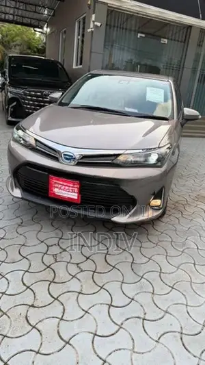 Toyota Axio Hybrid HEV 2024