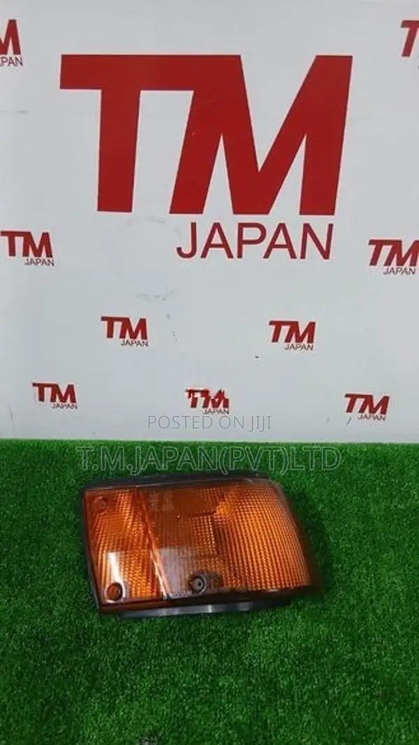 Nissan Sunny N13 Parking Light