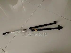 Toyota Aqua Dicky Shock Pair