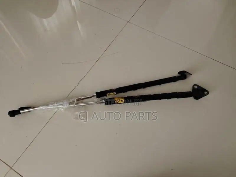 Toyota Aqua Dicky Shock Pair