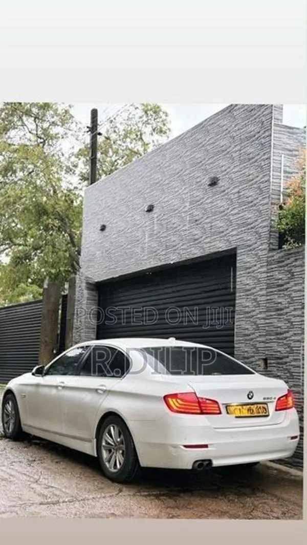BMW 520d 2013