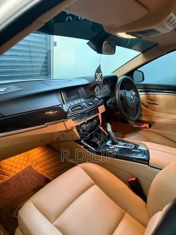 BMW 520d 2013