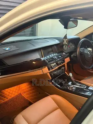 BMW 520d 2013