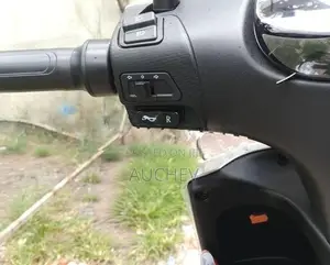 Auchev Pisces E-Bike 2026