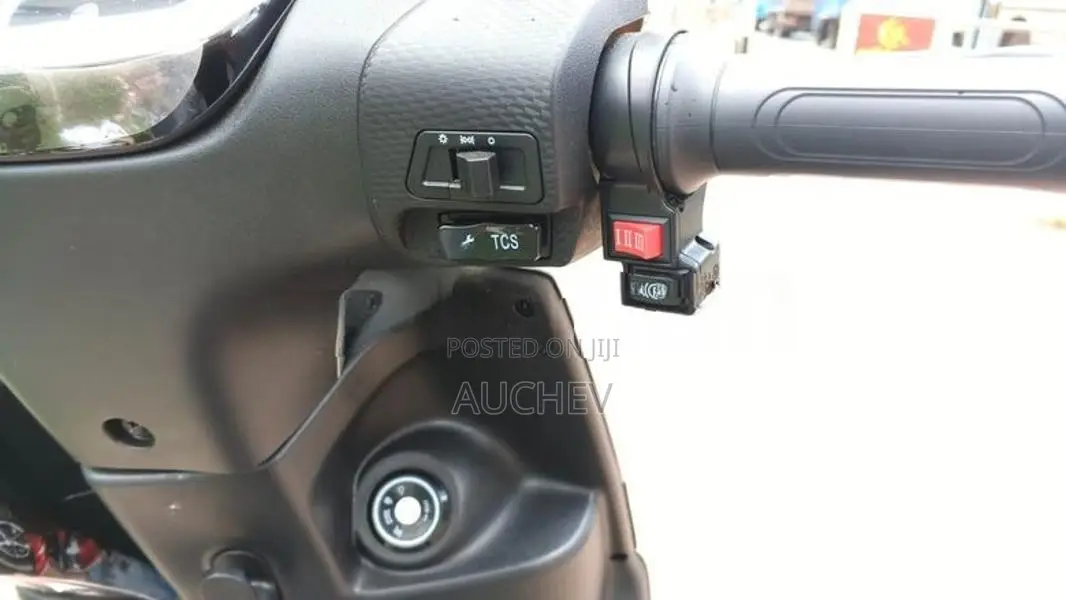 Auchev Pisces E-Bike 2026