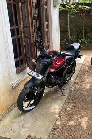 Yamaha FZ 1 2009