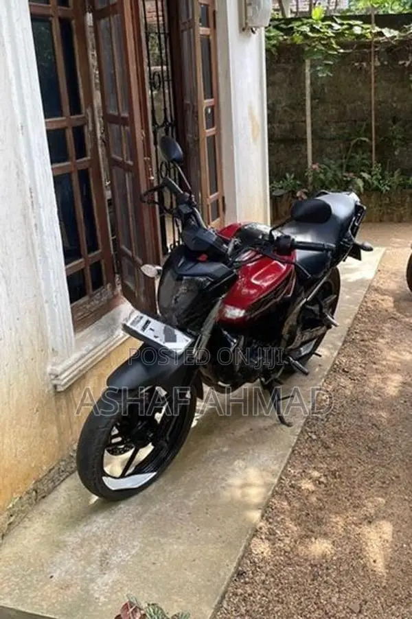 Yamaha FZ 1 2009