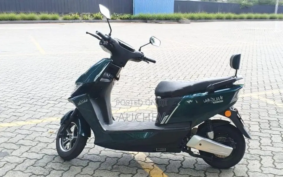 Auchev Pisces E-Bike 2026