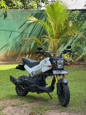Honda Navi 2018