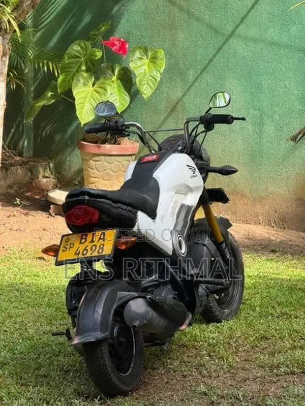 Honda Navi 2018