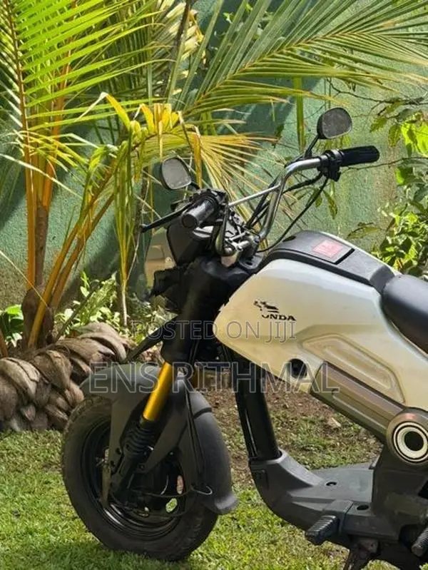 Honda Navi 2018