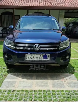 Volkswagen Tiguan 2013