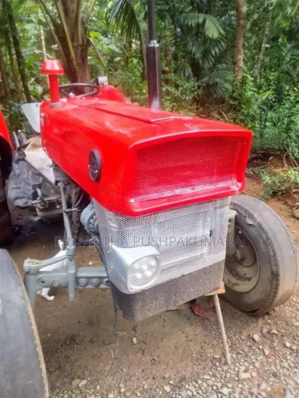 Massey-Ferguson 135 1972 Tractor (Used)