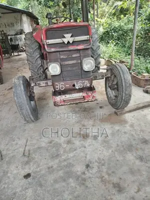Massey-Ferguson 135 DL 1980 Tractor (Used)