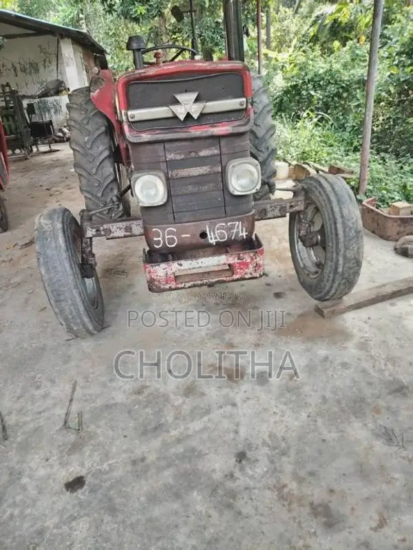 Massey-Ferguson 135 DL 1980 Tractor (Used)
