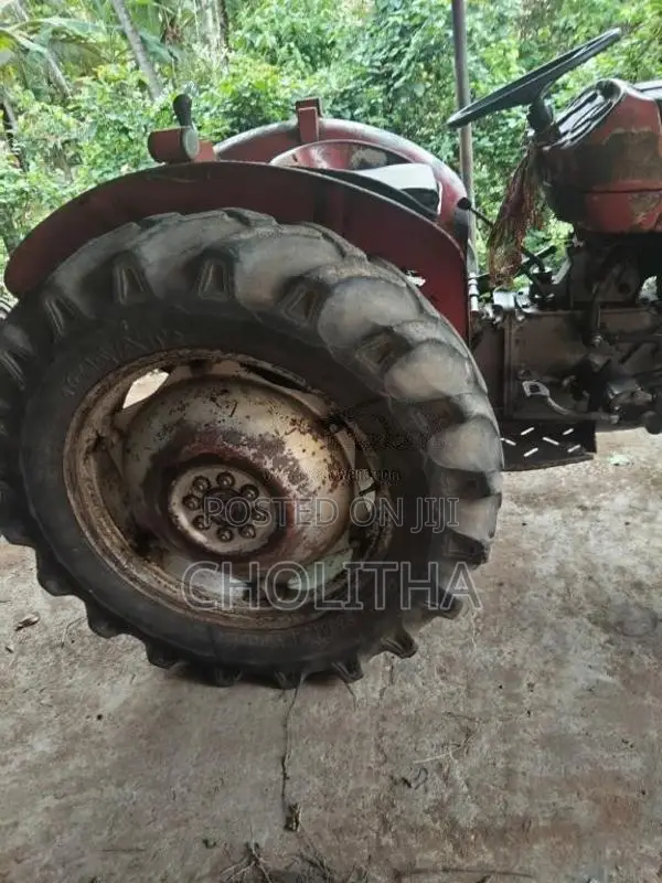 Massey-Ferguson 135 DL 1980 Tractor (Used)