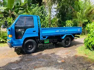 Isuzu ELF 1979 Lorry (Used)
