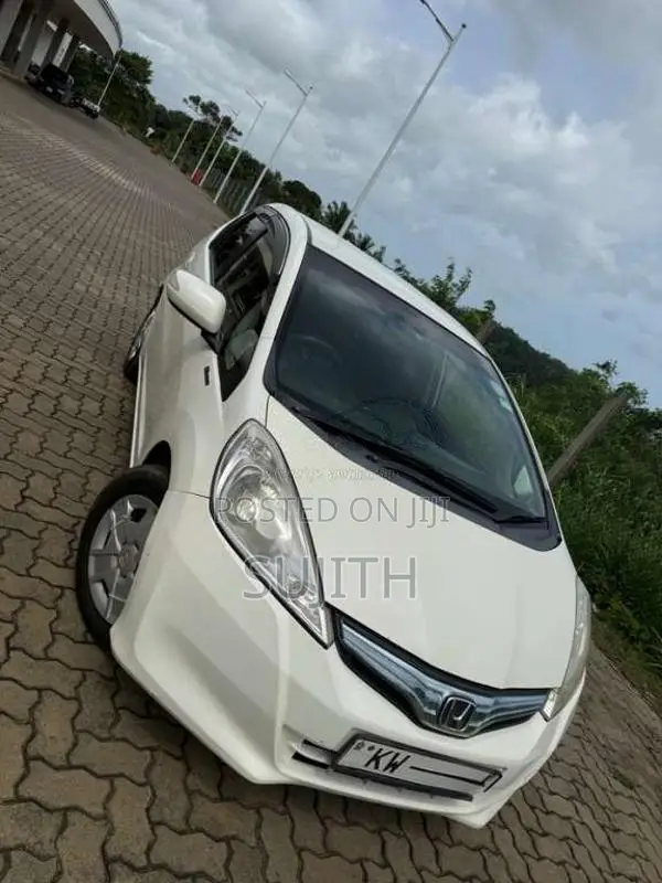 Honda Fit Gp1 10th Anniversary 2012 Car (Used)
