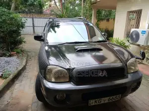 Hyundai Santa Fe 2003 SUV (Used)