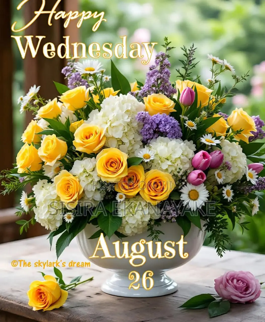Auditing & Accounting