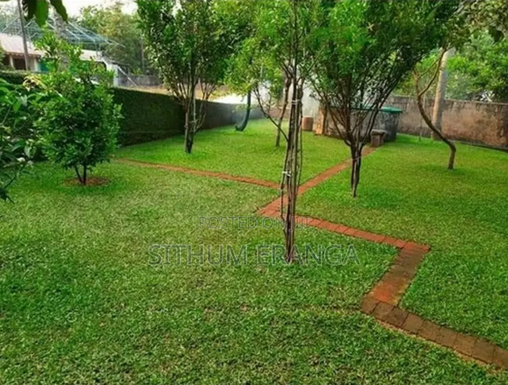 Malaysiyan Grass Sall