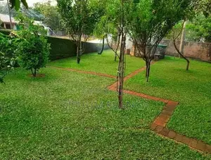 Malaysiyan Grass Sall