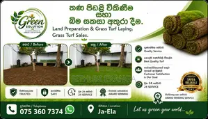 Malaysiyan Grass Sall