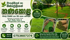 Malaysiyan Grass Sall
