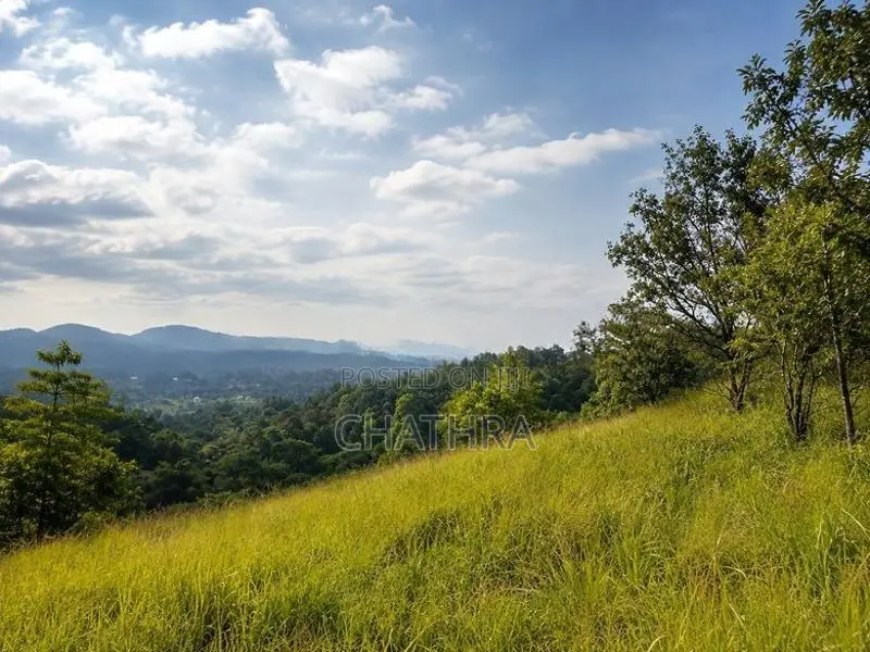 Prime Land for Sale in Kandy close to University of Peradeniya