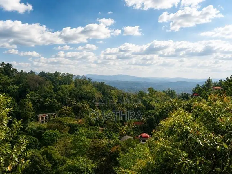 Prime Land for Sale in Kandy close to University of Peradeniya
