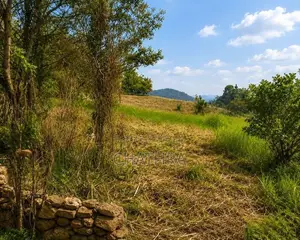 Prime Land for Sale in Kandy close to University of Peradeniya