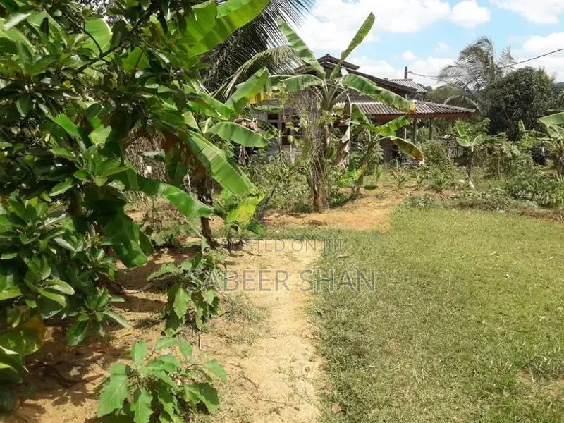 Land for Sale in Padukka