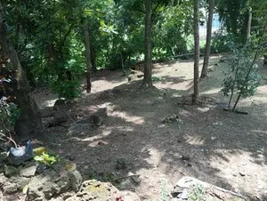 Prime Commercial Land For Sale In Wattala Mabola Main Road Frontage