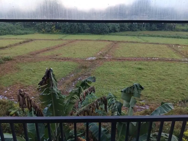 2 Floor House for Sale Facing Scening Paddy Field Homagama