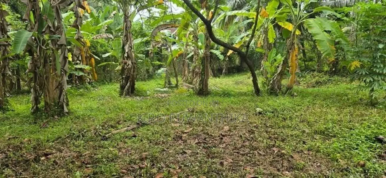 Land for Sale in Biyagama