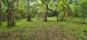 Land for Sale in Biyagama