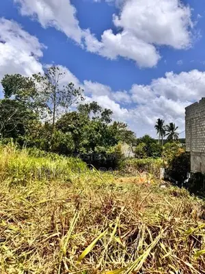 කොස්ගම රෝහල පාරේ අගනා ඉඩමක් විකිණීමට
