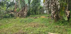 Land for Sale in Biyagama