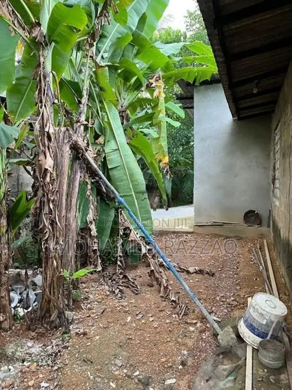19.5 Perch House with Land for Sale - Enderamulla