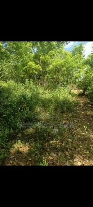 Land for Sale in Lunugamwehera