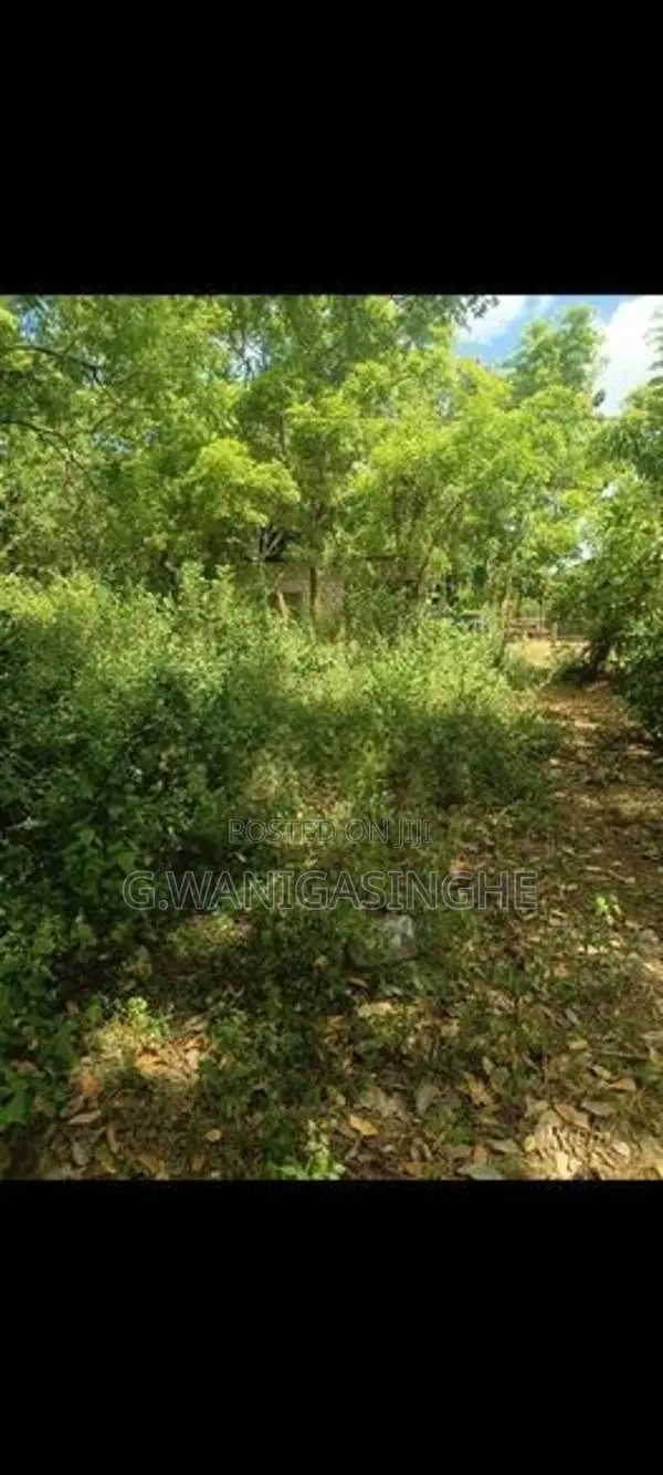Land for Sale in Lunugamwehera