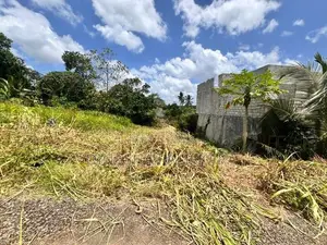 කොස්ගම රෝහල පාරේ අගනා ඉඩමක් විකිණීමට