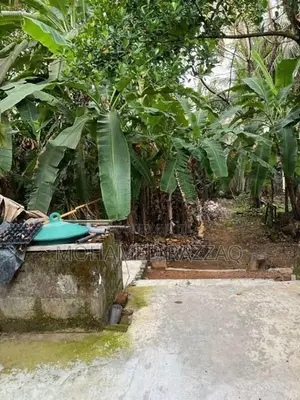 19.5 Perch House with Land for Sale - Enderamulla
