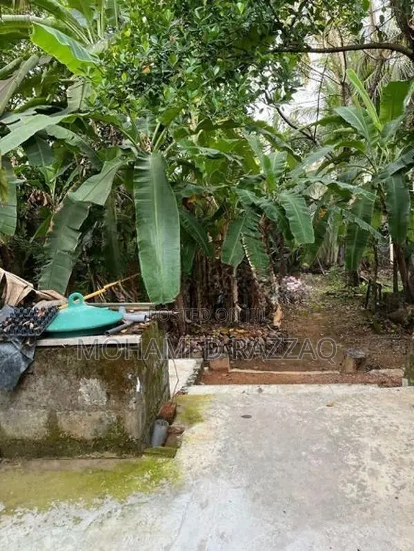 19.5 Perch House with Land for Sale - Enderamulla