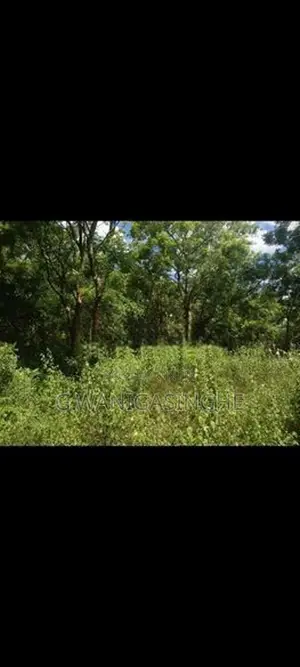 Land for Sale in Lunugamwehera