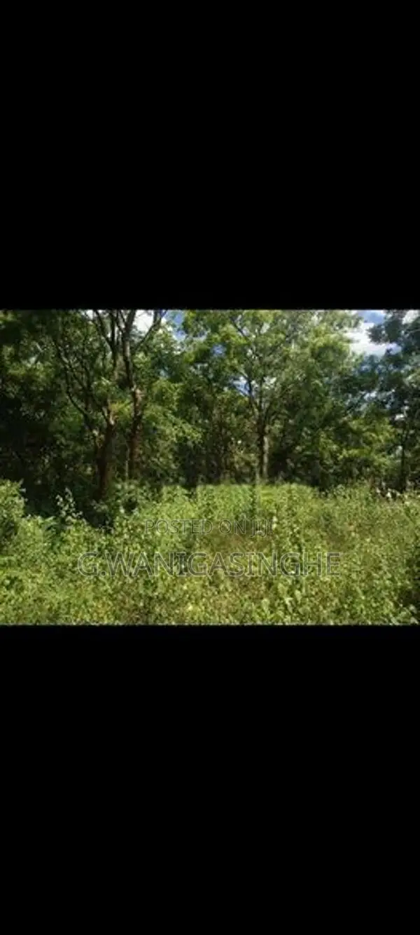 Land for Sale in Lunugamwehera